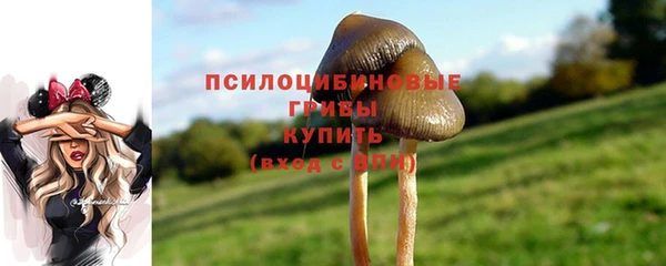 эйфоретик Балахна