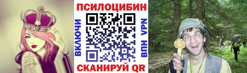 купить   мега зеркало  Псилоцибиновые грибы Cubensis  Ногинск 