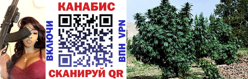Бошки марихуана Amnesia  Ногинск 